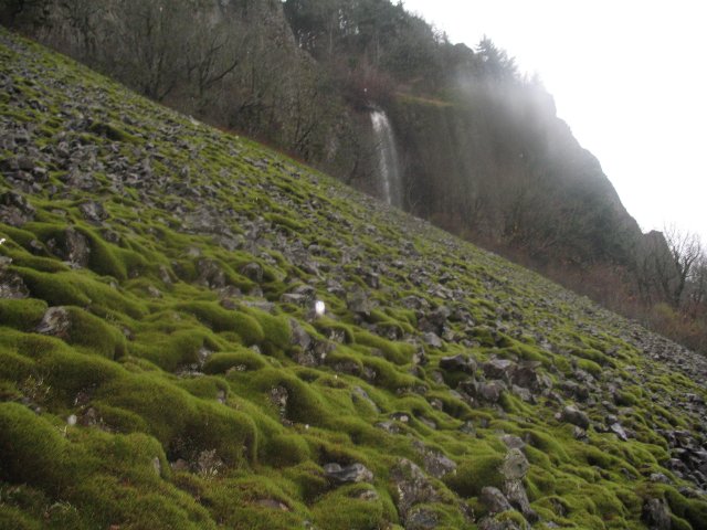 11.22.06 Cape Horn 034 